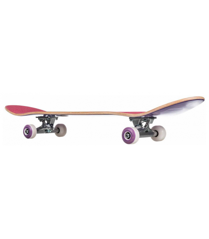 QUICKSILVER TRIPS SKATEBOARD