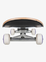 QUICKSILVER FLASHBACK SKATEBOARD