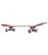 QUICKSILVER TRIPS SKATEBOARD