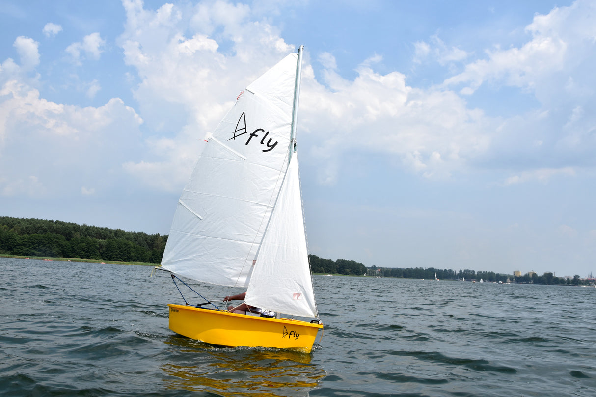 ROTO TECH FLY SAILING BOAT