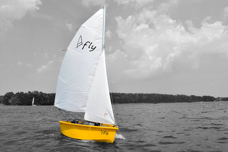 ROTO TECH FLY SAILING BOAT